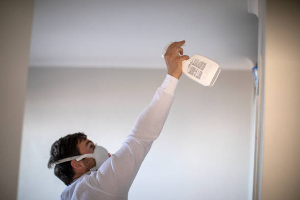 Best Mold Removal Company Near Me  in Blackwells Mills, NJ
