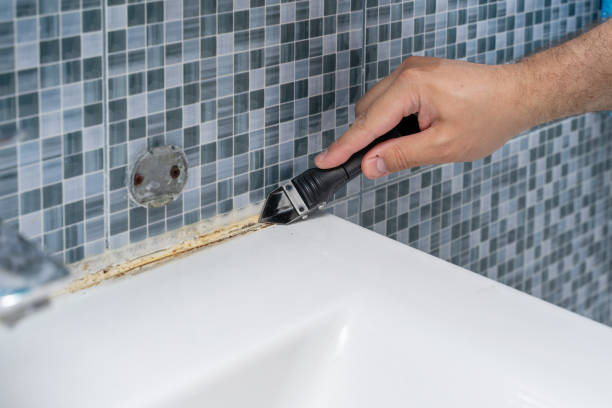Best Affordable Mold Removal  in Blackwells Mills, NJ