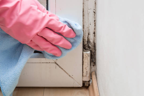 Best Emergency Mold Removal  in Blackwells Mills, NJ